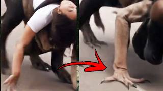 Esses Vídeos Assustadores Vão Te Arrepiar!