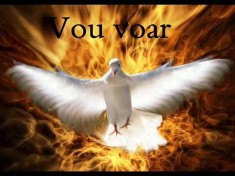 Vou voar nas asas do Espírito, vou voar.