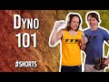 Dyno 101 Shorts