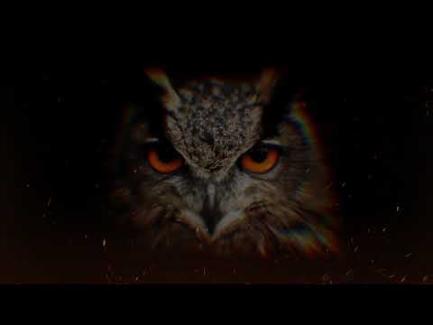 INO (Efekt Mov) - Otwórz oczy Ft.Azazel