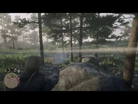 Red dead redemption 2 Story Mode playing on PS4 live Gameplay Walkthrough Part 4