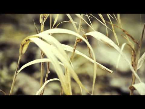 Terry Da Libra Feat. Catherine - Find Your Way Home (LTN Remix) [Music Video]