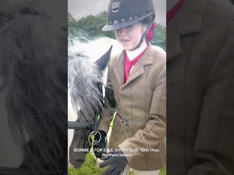 Safe cob ride&drive - Image 2