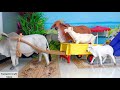 Bullock Cart Fantastic Craft Ideas Miniature Diorama
