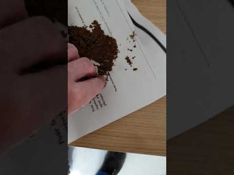 Tabac &agrave; chiquer attention danger. Exp&eacute;rience faite &agrave; mon travail avec un d&eacute;tecteur d'amoniaque.