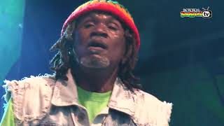 THE WAILING SOULS live @ Main Stage 2014