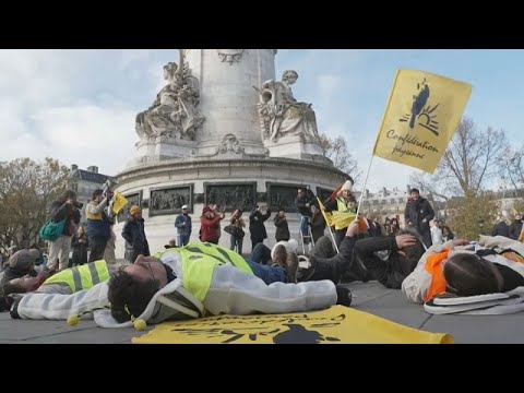 Honigkrise in Paris: Wütende Imker fordern Soforthilfen