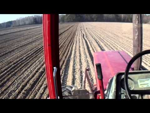 Agro Zakrzew sieje bo wiosną wieje//IHC845xl//Agro Masz//Poznaniak