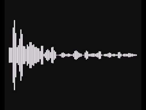 Wolfgang Gartner (feat. Jim Jones & Cam'ron)- Circus Freaks