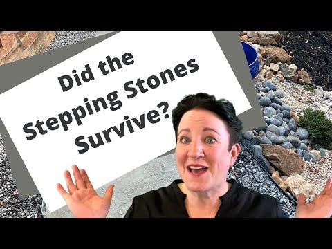 Checking In On Stepping Stones