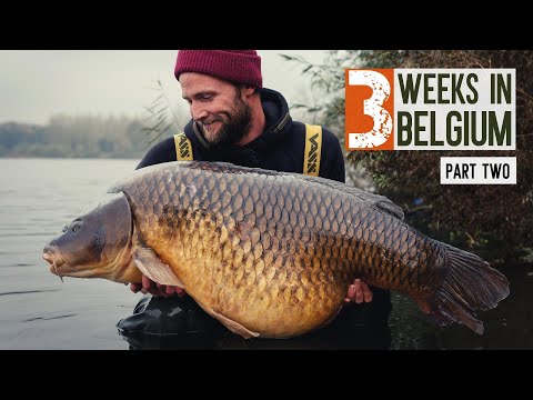 The Big Carp Story | Three Weeks in Belgium, Part 2 of 2 | Trailer