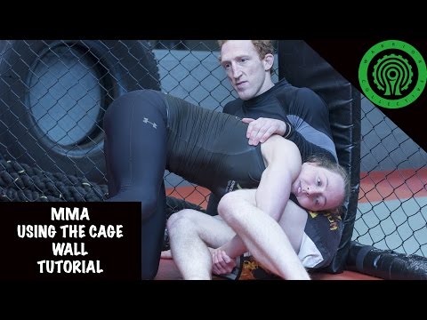 MMA Using the Cage Wall Tutorial