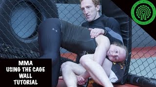 MMA Using the Cage Wall Tutorial