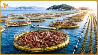 How Humans Are Turning the Endless Ocean Into a Massive High Tech Farm