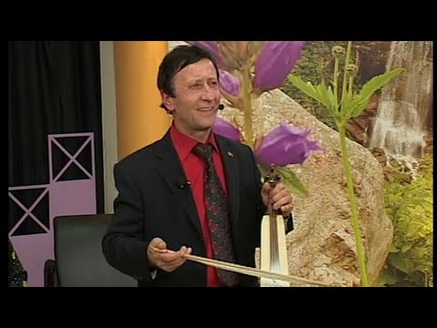 Hayri YAŞAR KARAGÜLLE - Karadeniz Yayla Yol Havası