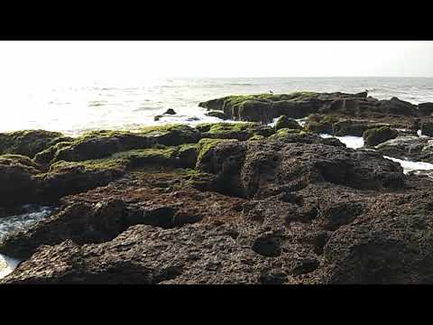 Goa baga Beach