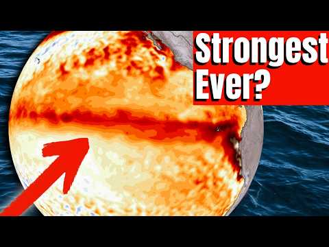 This El Niño Is Getting Strong FAST...