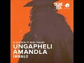 Dj Dukesta Ft Miss Twaggy Ungapheli Amandla Mbali