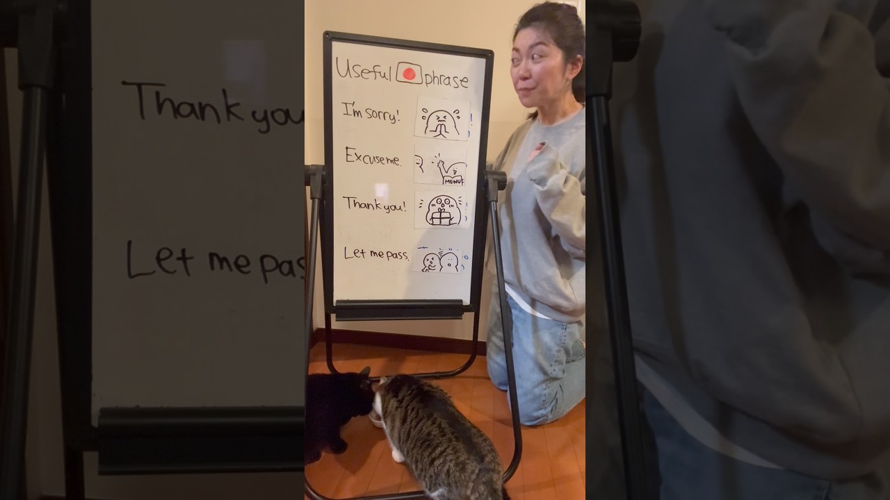 Sumimasen is a magic word in Japanese! #japaneselesson #japaneselanguage