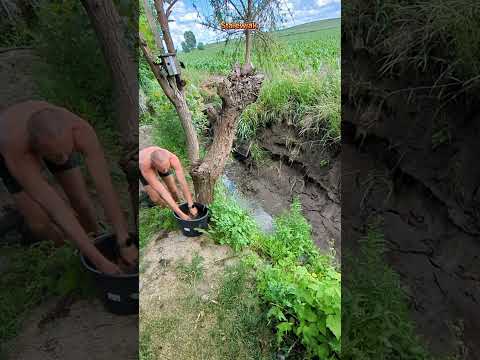 Cz.3 #łapanie #ryb #w #rowie #ryby #karp #karaś #kolorowe #wędkowanie #hobby