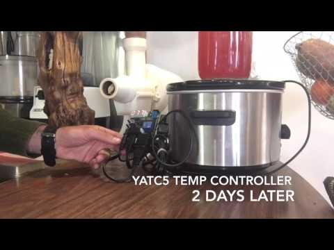 Make Water Kefir Without Starter Grains