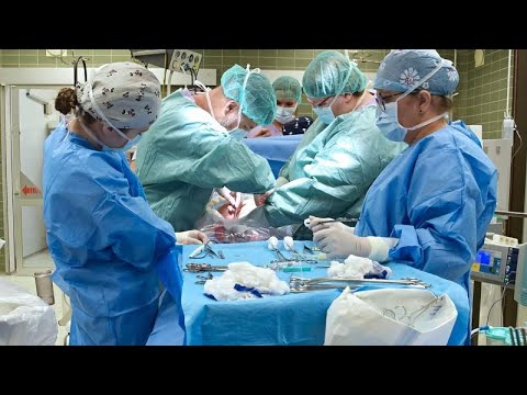 Czech baby is delivered after brain-dead mother kept alive for 117 days