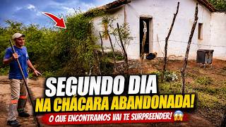 2º DIA NA CHÁCARA ABANDONADA! 😱 O QUE ENCONTRAMOS AQUI?