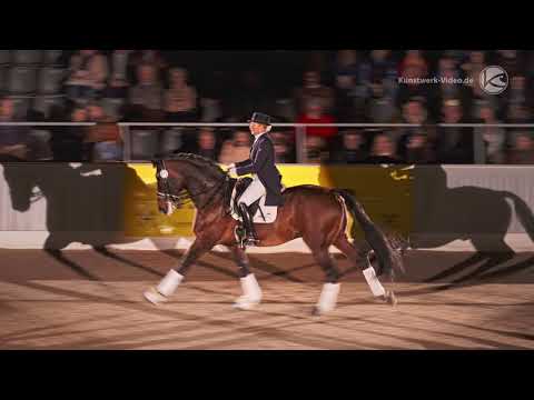 Gestüt Letter Berg Hengst Florentinus V. Hengstgala Verden 2018