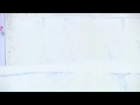 FWT09 @ Ounasvaara -Novice Slope Style - Run2  - 1st: Joonas Nieminen(RSF)