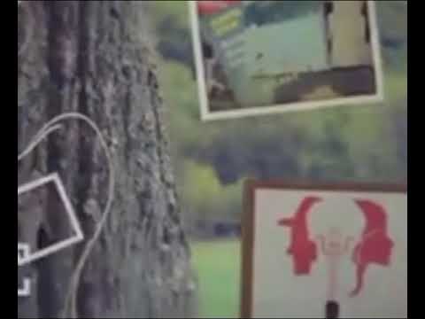 Promo Destine Celebre Georgel Nuca Duminica 29 martie 2015 ora 13.00