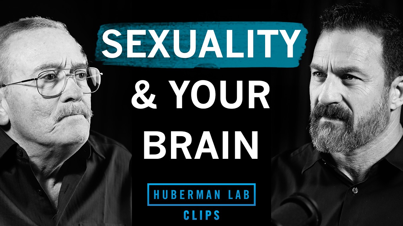 How Your Brain Differs Based on Sexuality | Dr. Marc Breedlove & Dr. Andrew Huberman