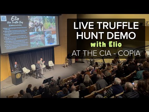 Truffle Hunt Demo with Elio at the CIA - Copia.