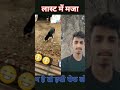 O Mera Dil Tha Akela Tune Channel Shakeela Shorts Viral