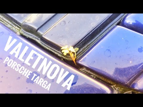 ValetNova Tree Surgery - Porsche Targa