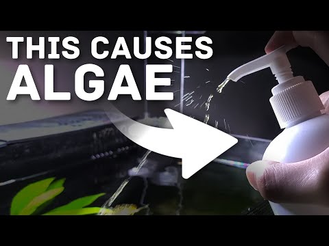 STOP Fertilizing Your Way to Algae Disaster!