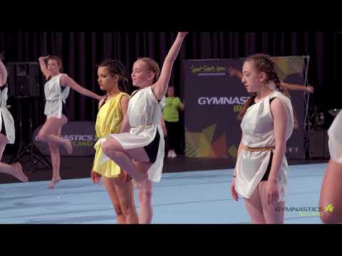 The Floor 2018   Arabian Senior Display Team