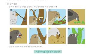[초등과학 4-1 무료강의] 1. 과학자처럼 탐구해 볼까요? ④ 과학자처럼 분류해 볼까요?