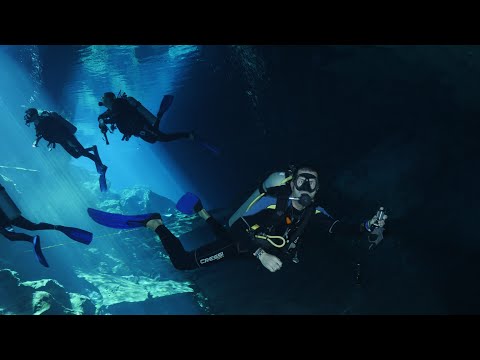 Video: Immersioni nel Cenote