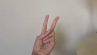 Psycho Rozzi Crane - Ishana Cover