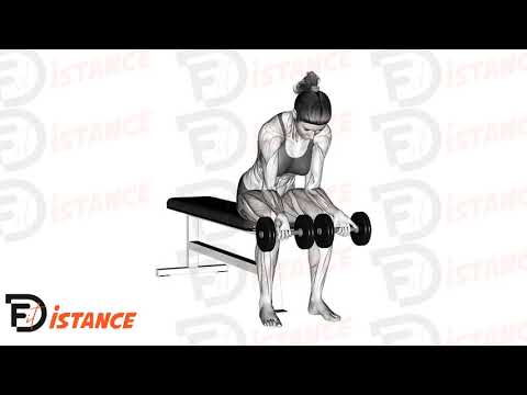 Flexions des doigts assis avec haltères - Exercice Flexions des doigts assis avec haltères en vidéo