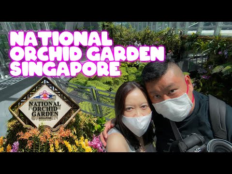 Tropical Montane Orchidetum at Singapore Botanic Gardens (National Orchid Garden)