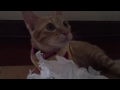 EP 16 NEMO Funny Nemo จินตหรา พูนลาภ Jintara Poonlarp I Tao Ngoi Official 