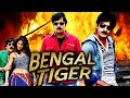 BENGAL TIGER FULL HD South MOVIE 4K Bengal Tiger South Movie