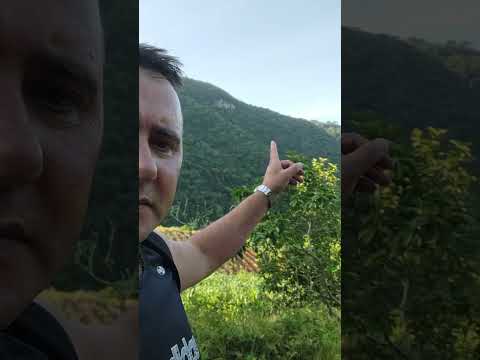 Que linda imagem meus queridos amigos , estamos pertinho do Ponto Turístico de Vale do sol , RS,