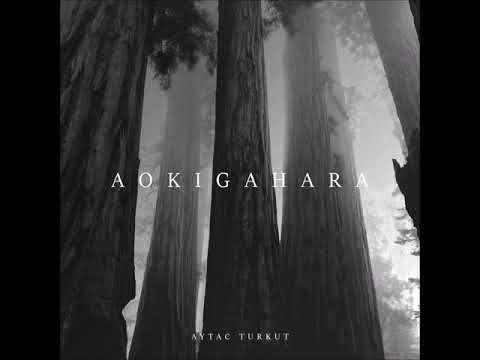Aytac Turkut - Aokigahara