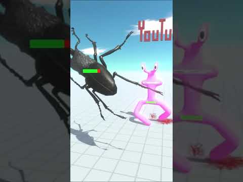 ARBS Shorts｜Rainbow Friends Pink vs Giant Stag Beetle