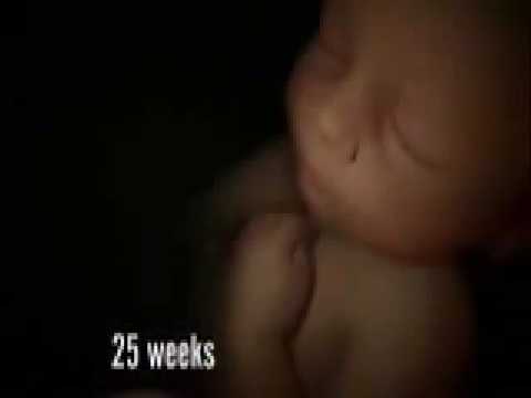 The Miracle of Birth