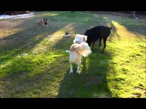 Aneesa playing with snow