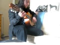 Paleface - Shangri-la acoustic cover(different ...