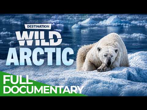 Destination Wild: Arctic Islands
